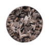 TROPICAL JUNGLE BLACK Limited Edition Dessert Plate