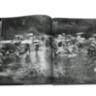 Hunting, Legendary Rifles ASSOULINE