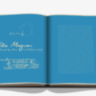 SECRET STAYS ASSOULINE