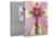 Cross Purpose ASSOULINE