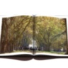 Gauchos: Icons of Argentina ASSOULINE