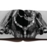 Gauchos: Icons of Argentina ASSOULINE