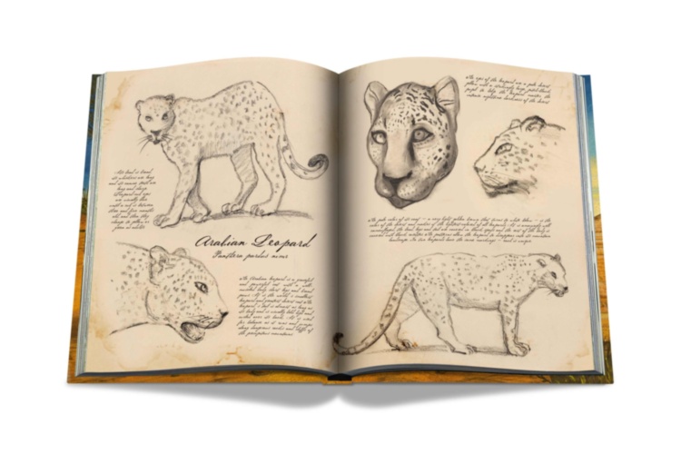 Arabian Leopard (Ultimate) ASSOULINE