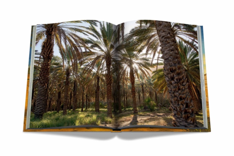 Arabian Leopard (Ultimate) ASSOULINE