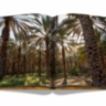 Arabian Leopard (Ultimate) ASSOULINE