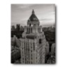 The Carlyle ASSOULINE