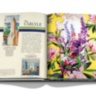 The Carlyle ASSOULINE