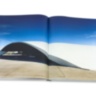 Oscar Niemeyer ASSOULINE
