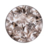 TROPICAL JUNGLE WHITE Charger Plate