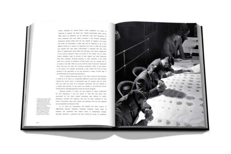 Jewelry Guide: The Ultimate Compendium ASSOULINE