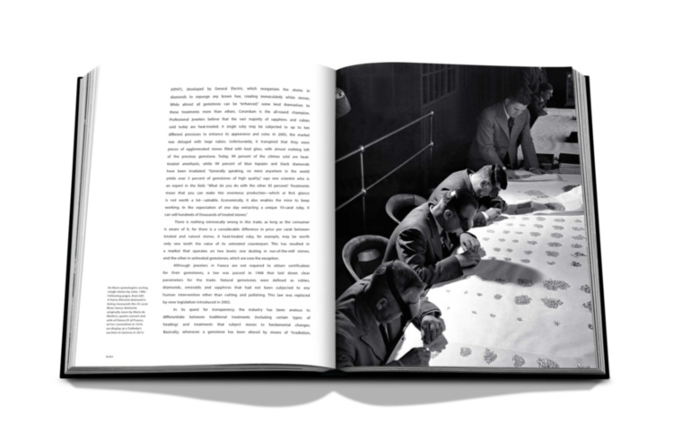 Jewelry Guide: The Ultimate Compendium ASSOULINE