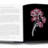 Chaumet: Inspirations, Crown Jewels, Clientele - Set of 3 ASSOULINE
