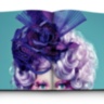 Tim Palen: Photographs from The Hunger Games ASSOULINE