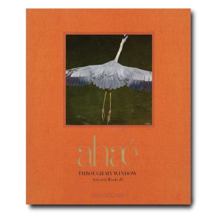 AHAE Through My Window: Selected Works II ASSOULINE