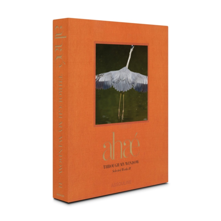 AHAE Through My Window: Selected Works II ASSOULINE