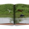 AHAE Through My Window: Selected Works II ASSOULINE