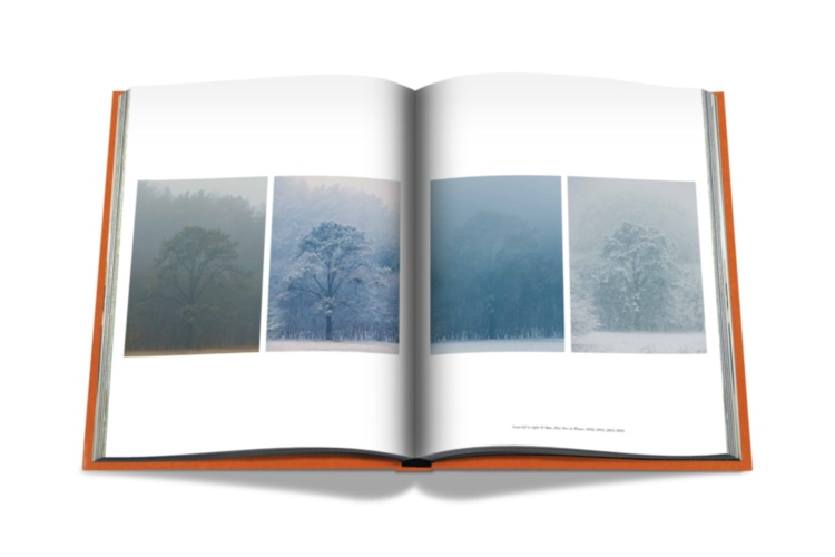 AHAE Through My Window: Selected Works II ASSOULINE