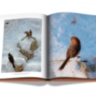 AHAE Through My Window: Selected Works II ASSOULINE