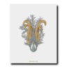 Buccellati: A Century of Timeless Beauty ASSOULINE